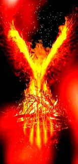 Fiery phoenix rising from vibrant red flames on a dark mobile wallpaper.