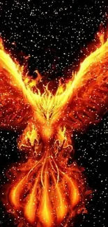 Fiery phoenix with blazing wings on a starry black background.