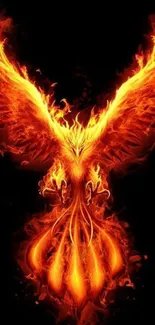 Fiery phoenix with vibrant orange flames on a dark background for mobile wallpaper.