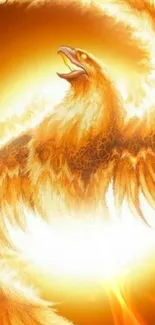 Vibrant phoenix in golden flames wallpaper.