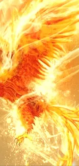 Fiery phoenix rising in golden flames wallpaper.