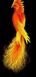 Fiery phoenix illustration on black background.