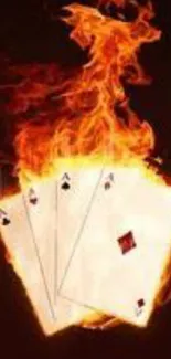 Fiery playing cards mobile wallpaper design.