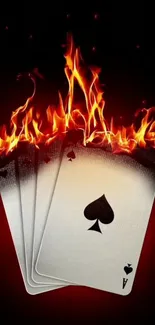 Fiery playing cards with vivid flames on a dark background.