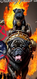 Steampunk pug with fiery anarchy design wallpaper.