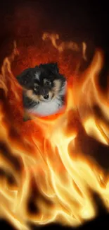 Fluffy puppy surrounded by vibrant orange flames in mobile wallpaper.