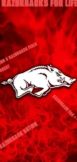 Fiery Razorback logo with red flames background.