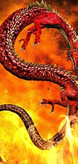 Fiery red dragon in vivid orange background, detailed scales and fierce expression.