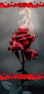 Fiery red rose with flame effects and heart border.