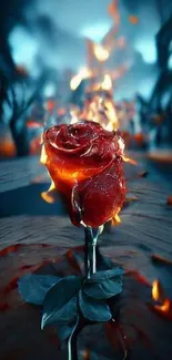 Fiery red rose with flames on a dark background.