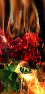 Red roses engulfed in vibrant flames.