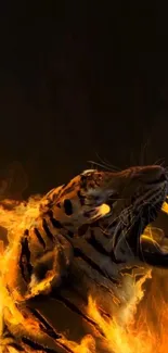 Roaring tiger engulfed in vibrant flames on a dark background.