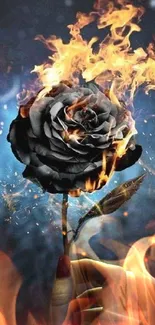 A burning rose held in hand against a dark forest background.