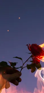 Hand holding a flaming rose against a twilight sky.