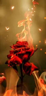 Burning rose with fire and glowing butterflies on mobile wallpaper.