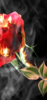 A fiery rose with flames and smoke on a dark background.