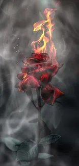 Mobile wallpaper of a burning red rose against a dark background.