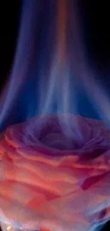 A rose engulfed in vibrant blue flames on a dark background.