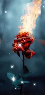 A fiery rose set against a mystical blue background with sparkling stars.