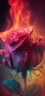 Fantasy rose burning with fiery flames in vibrant colors.