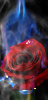 A red rose with blue flames on a black background.