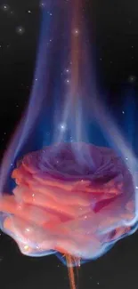 A vibrant rose engulfed in blue flames with dark background.