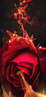 Fiery red rose with flames on a dark background.