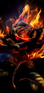 Fiery rose with flames dark background wallpaper.