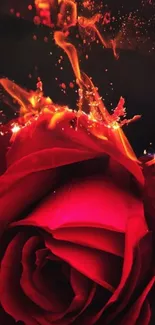 Vibrant red rose engulfed in flames on a dark background.