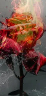 A rose on fire with vibrant red petals and dynamic flames.