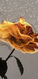 A rose engulfed in flames with a textured backdrop.