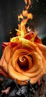 Orange rose engulfed in flames with sparks flying on a dark background.