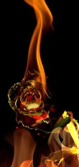 A rose in flames set against a black background, creating a striking visual contrast.