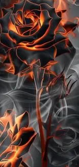 Fiery orange roses with smoke on a dark background