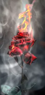 Fiery red rose with flames and smoke in artistic wallpaper.