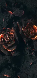 Fiery roses on a dark background wallpaper.