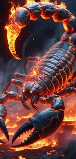 Fiery scorpion artwork with molten elements and vibrant colors.