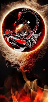 Wallpaper featuring a fiery scorpion with cosmic effects for mobile devices.