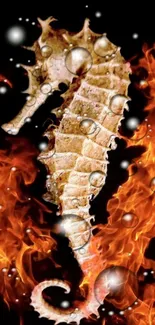 Seahorse amidst fiery flames on a black background.