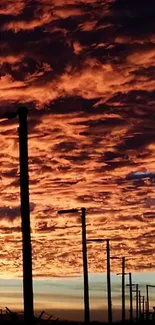 Fiery sunset sky with lamppost silhouettes.