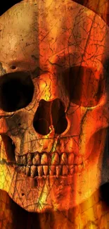 Detailed skull with fiery orange background.