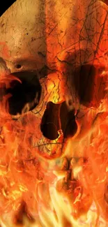 Fiery skull engulfed in vibrant flames, creating dramatic mobile wallpaper.