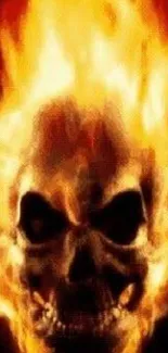 Fiery skull wallpaper with engulfing flames.