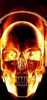 A vibrant flaming skull wearing headphones, set against a dark background.