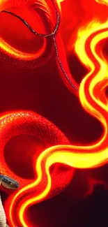 Fiery snake artwork with vibrant red and orange flames on a mobile wallpaper.