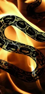 Fiery snake weaving through vibrant flames on mobile wallpaper.