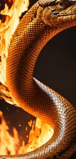 Dynamic snake in fiery flames wallpaper for mobile.