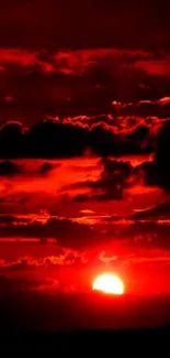 Fiery red sunset with dark clouds in the sky, perfect for mobile wallpaper.