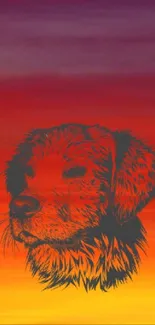 Sunset wallpaper with dog's silhouette in vibrant orange hues.