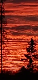 Silhouetted trees set against a fiery orange sunset sky.